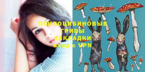 трава Кинешма